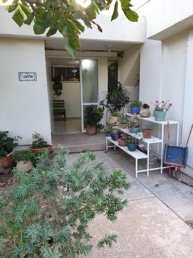 פינה חמה ברמה Apartment Ein Zivan Exterior photo